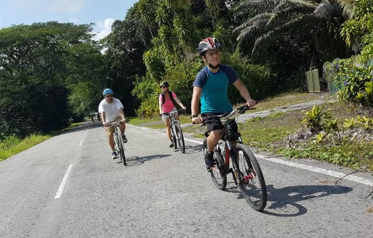 Borneo Outdoor Discovery: Orangutan, Off-Road Biking, & Caves